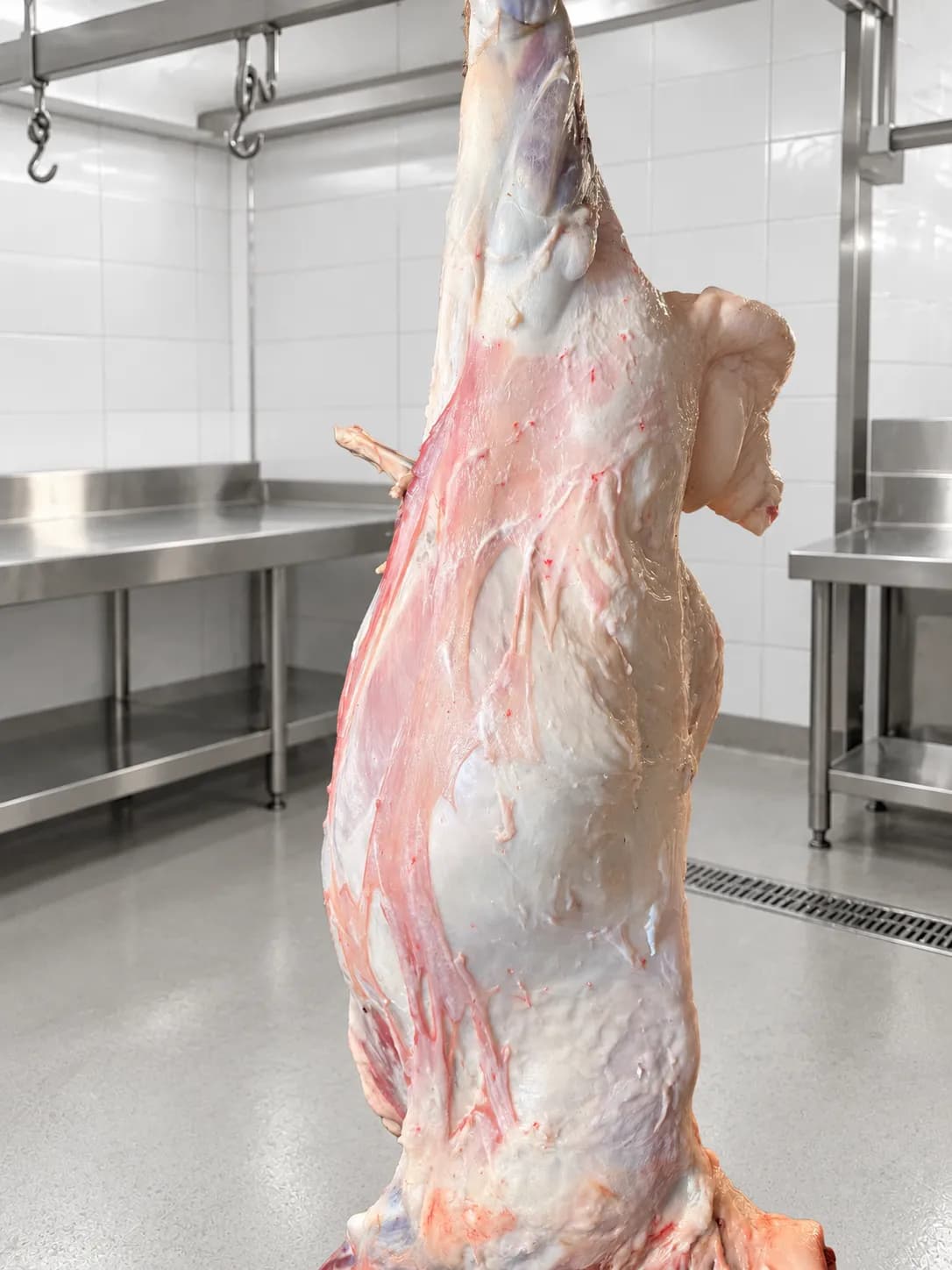 Whole Awassi lamb, approx. 7–9 months old, from Marlboro Meadows Farm