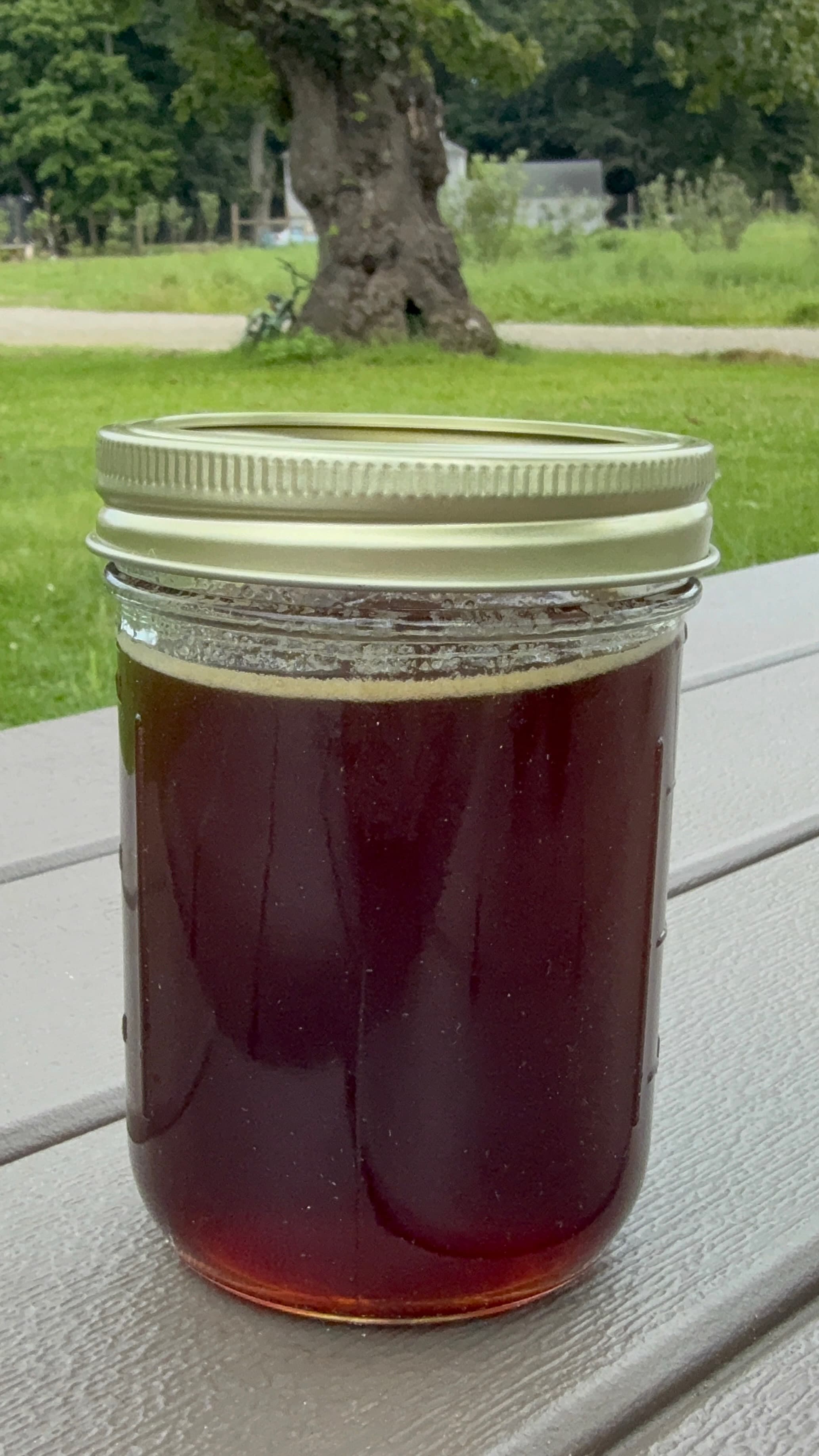 A jar of dark raw honey from Marlboro Meadows Farm, held up to catch the light