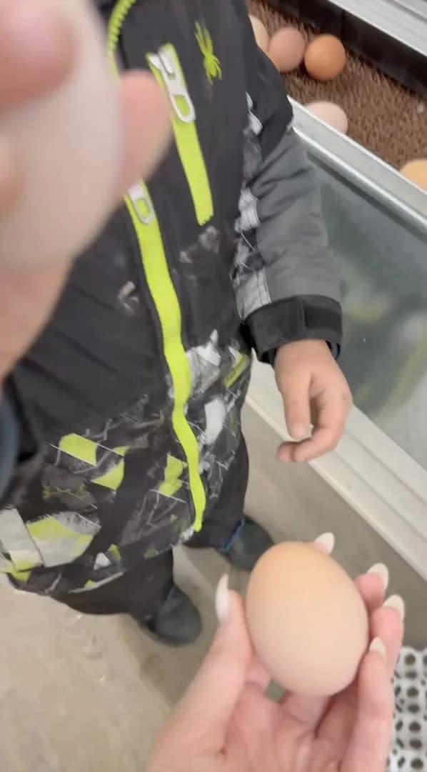 A hand holding a single fresh brown egg