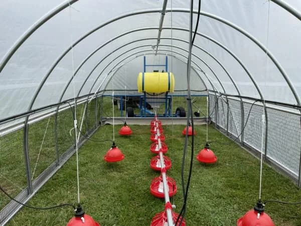 Rows inside the hoop house greenhouse used to extend the growing season