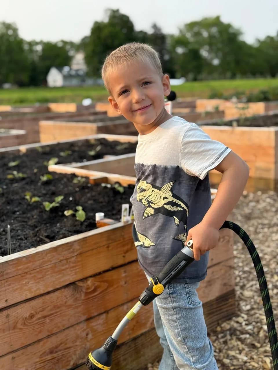 A young boy watering the raised garden beds with a hose