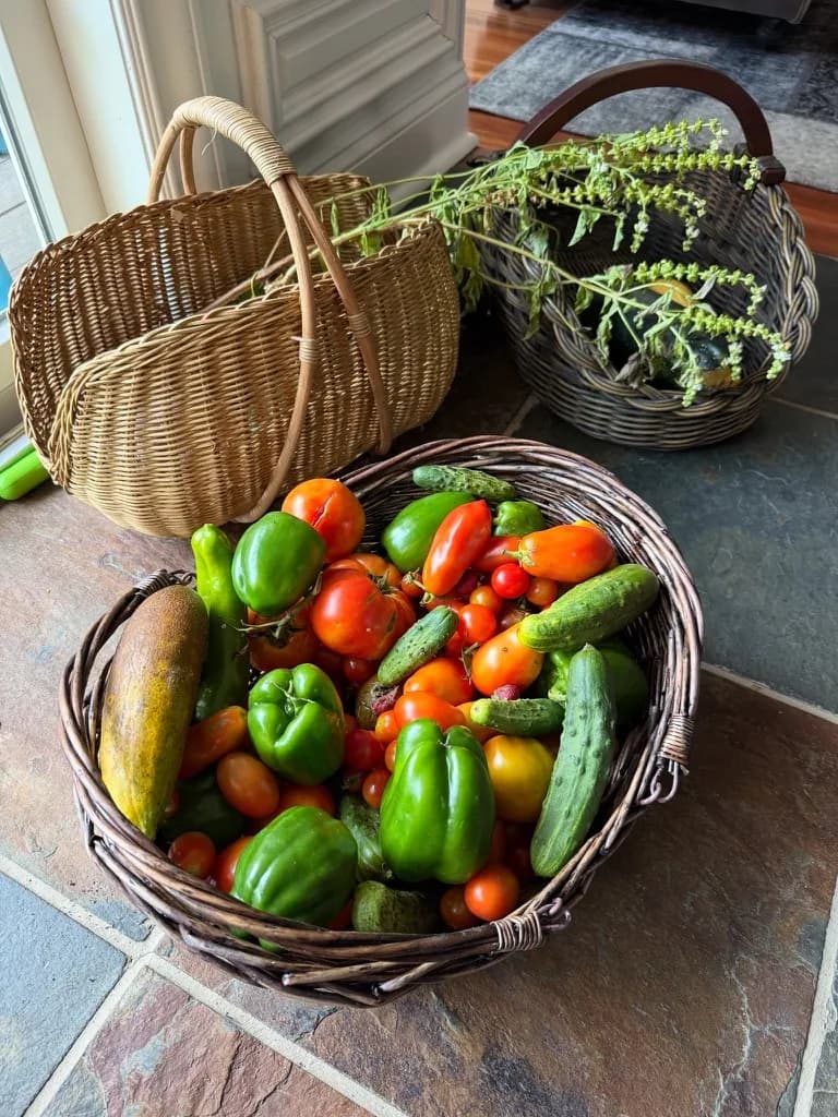 A basket of tomatoes, peppers and cucumbers from the farm garden
