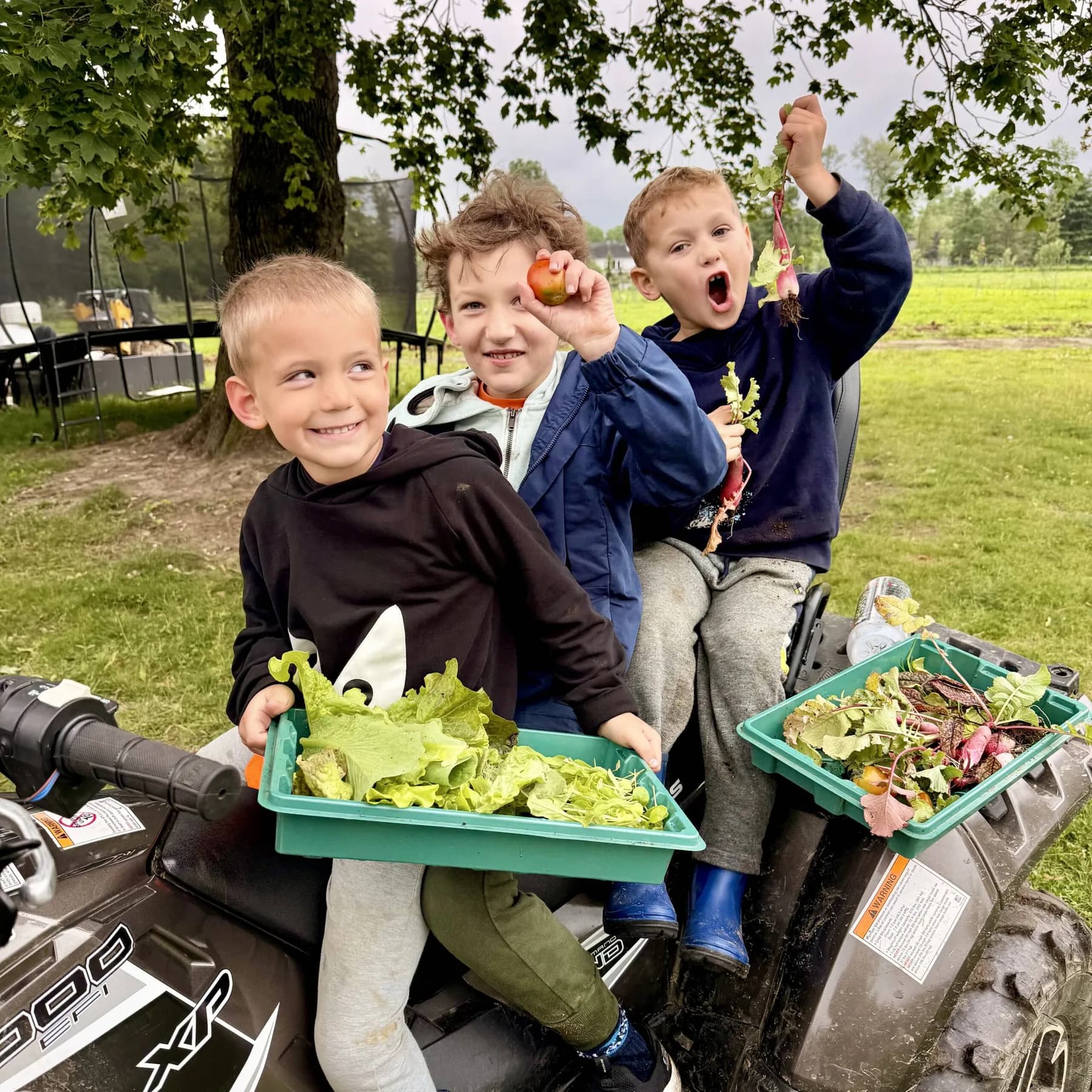 Garden & Berry Experience