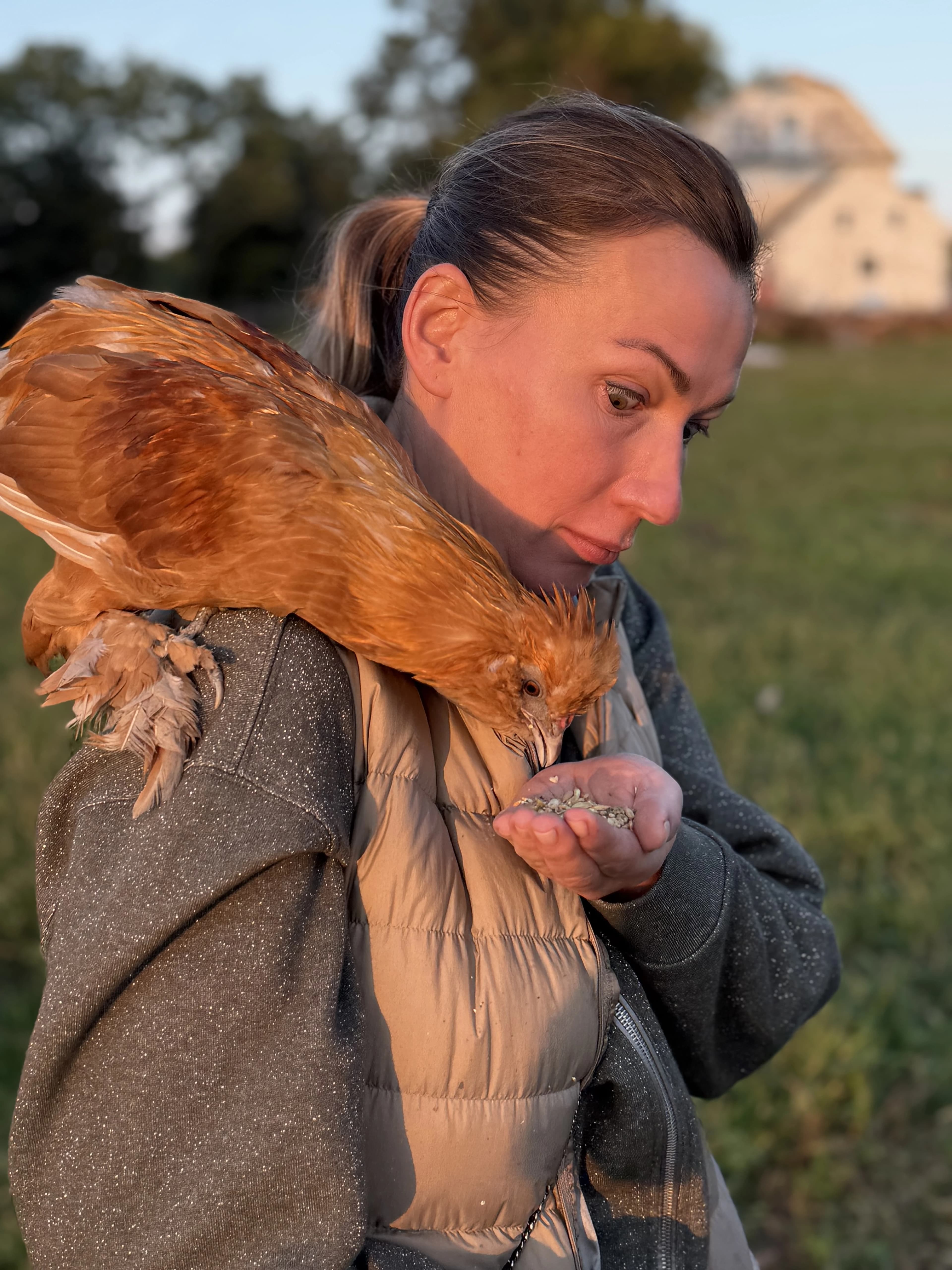 Chicken & Egg Experience — Full / VIP