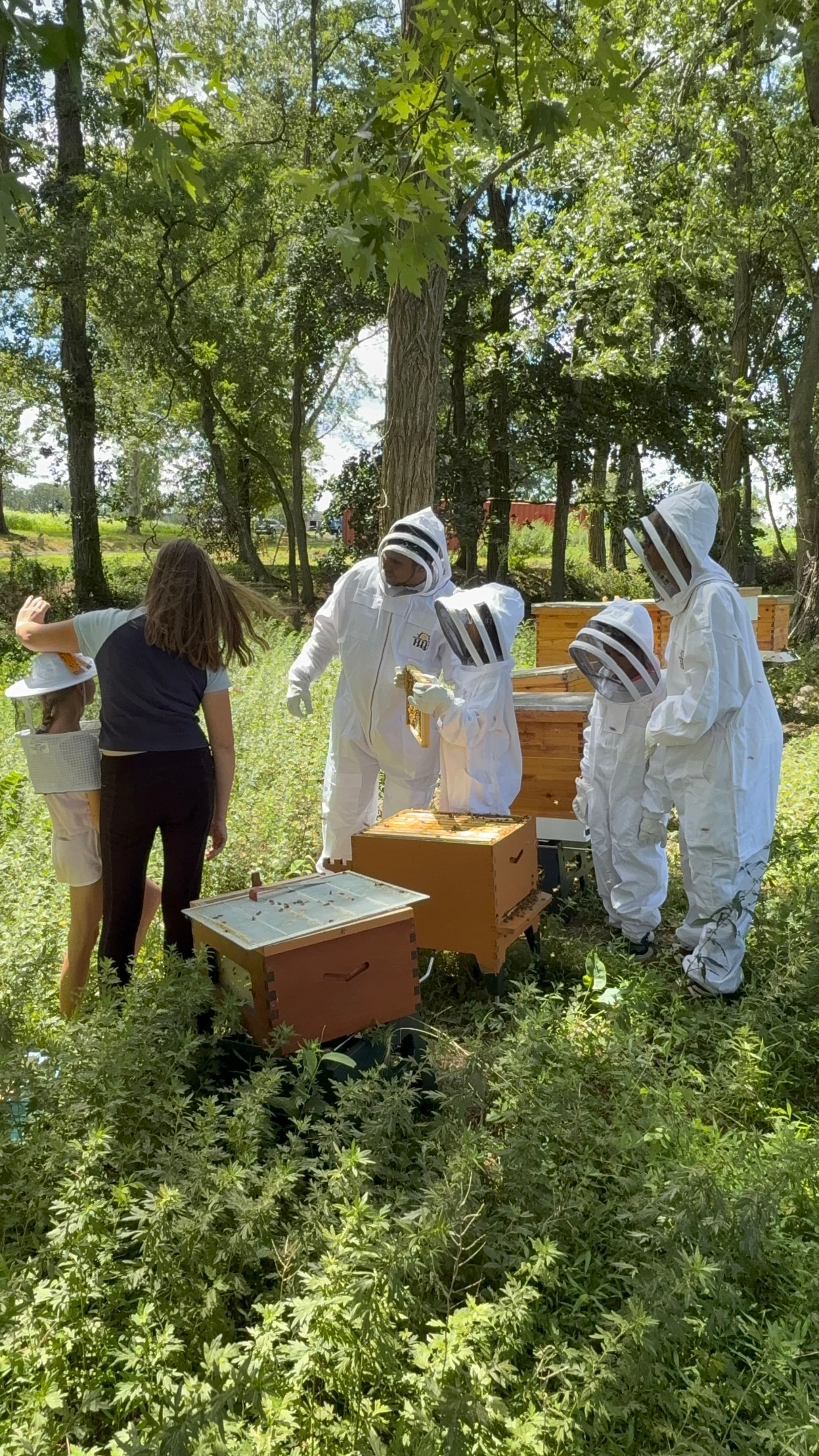 Beekeeping Experience photo 3