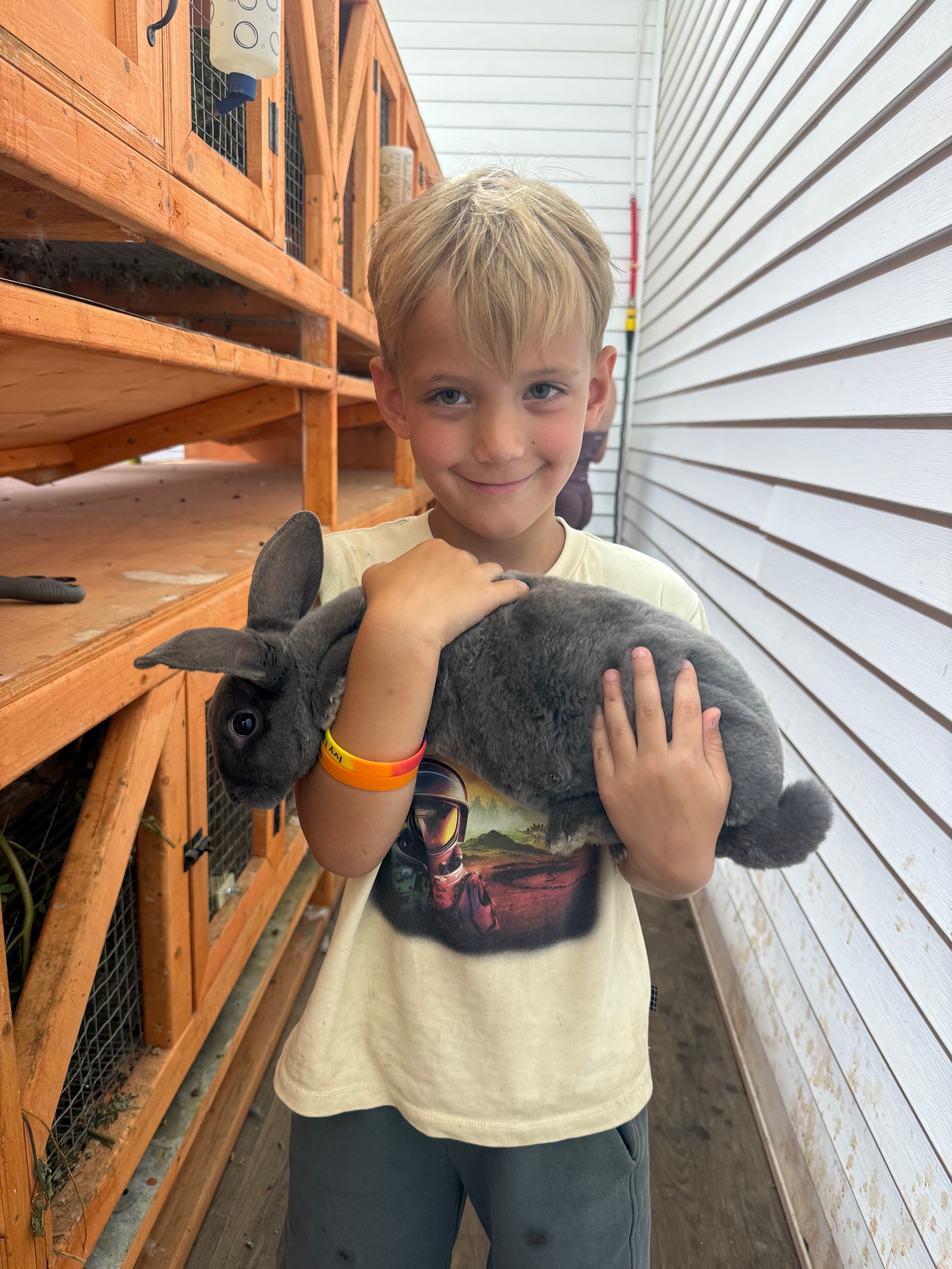 Meet Our Bunnies