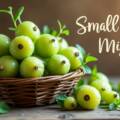 Gooseberries – Small but Mighty Superfruit
