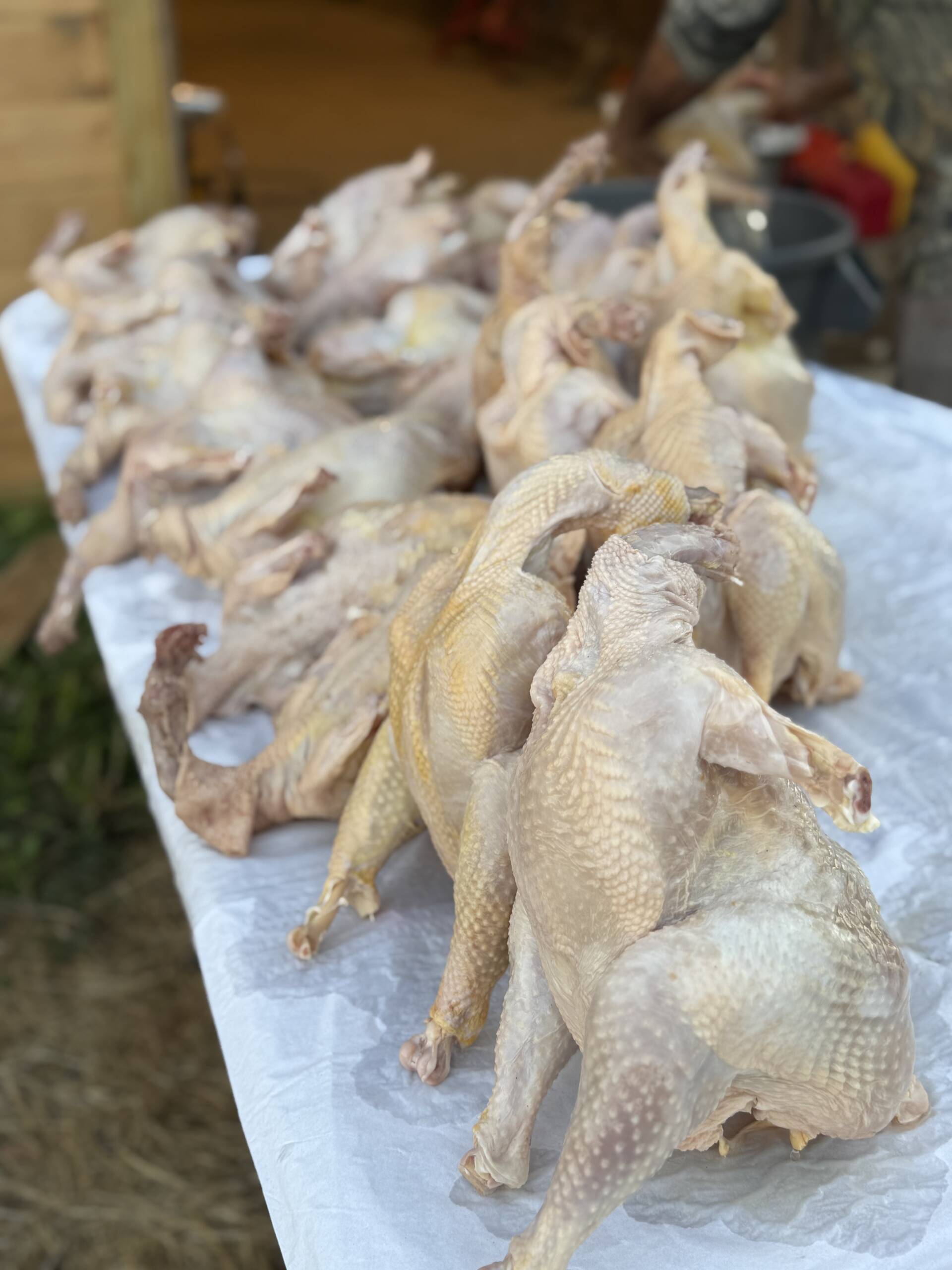 Pasture-raised whole chickens with parts and organs from Marlboro Meadows Farm NJ