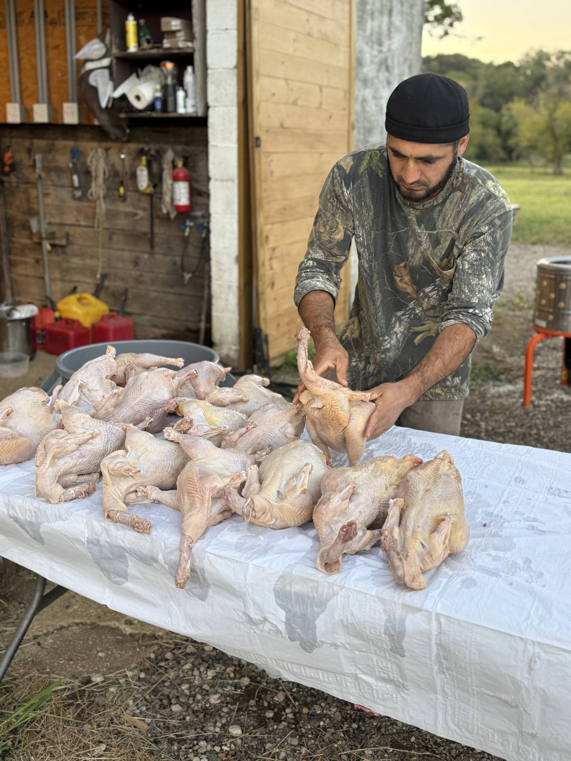 Farm owner hand-processing fresh pasture-raised whole chickens at Marlboro Meadows Farm in Marlboro NJ
