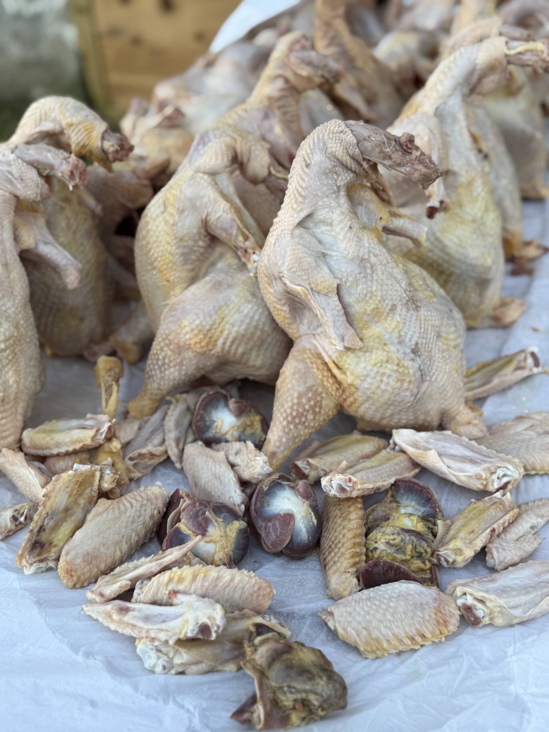 Pasture-raised chickens with parts and organs from Marlboro NJ local farm